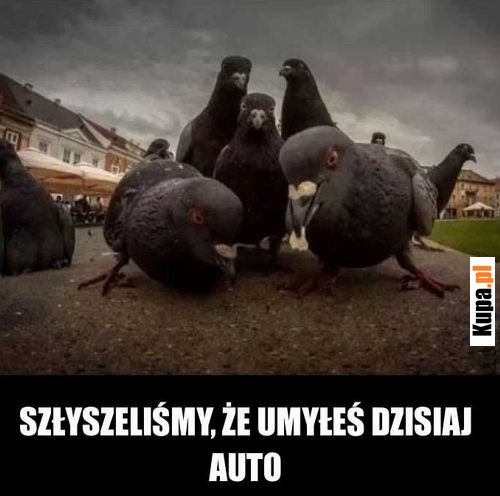 Słyszeliśmy, że umyłeś dzisiaj auto...