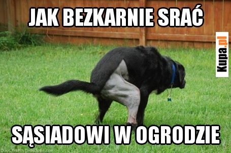 Jak bezkarnie srać