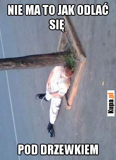 Nie ma to jak odlać się Nie ma to jak odlać się