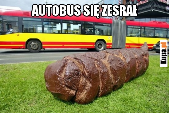 Autobus się zesrał