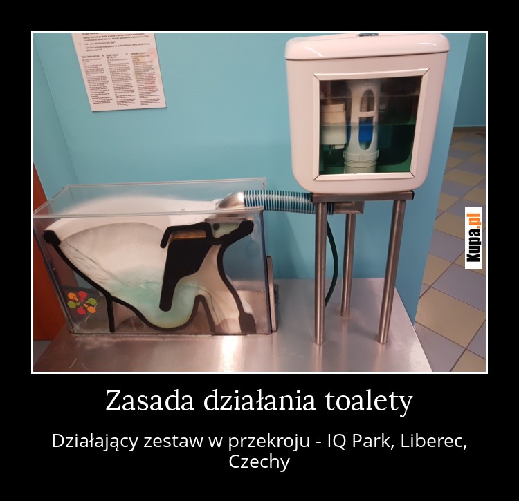 Zasada działania toalety