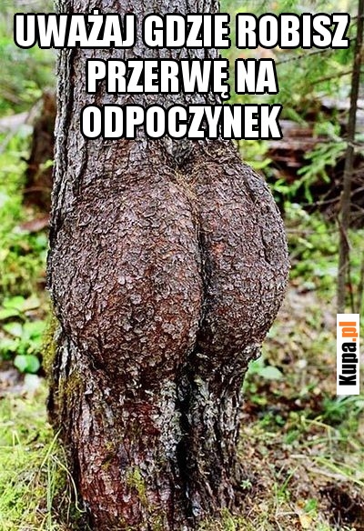 Uważaj gdzie robisz przerwę na odpoczynek