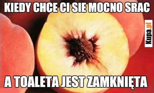 Kiedy toaleta jest zajęta...