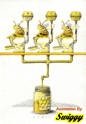 Cała prawda o miodzie :)