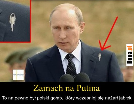 Zamach na Putina - To na pewno był polski gołąb, który...