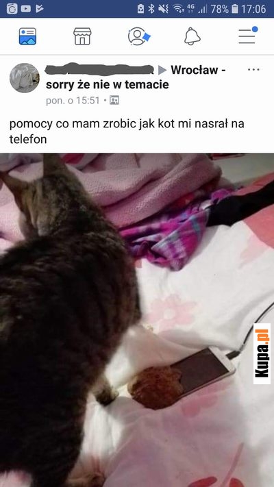 Pomocy, co mam zrobić jak kot nasrał mi na telefon?