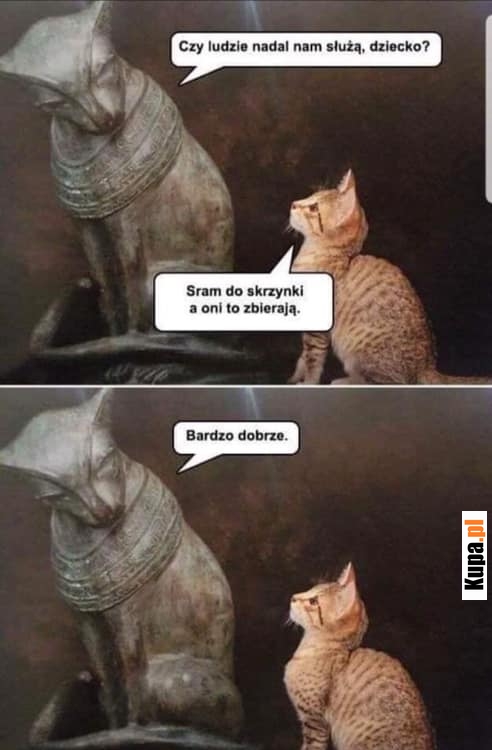 Sram do skrzynki a oni to zbierają