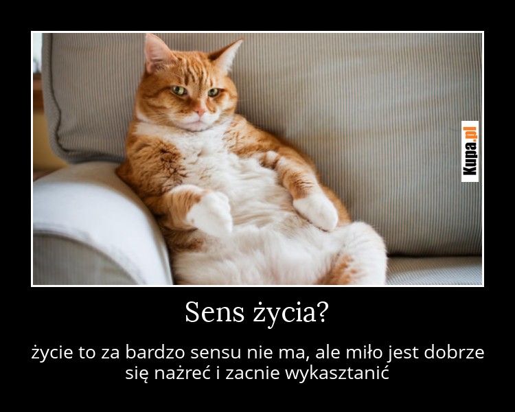 Sens życia? - Miło jest się dobrze nażreć i zacnie wykasztanić