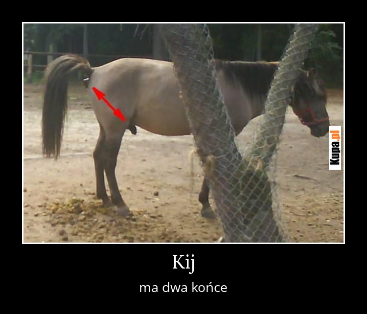 Kij