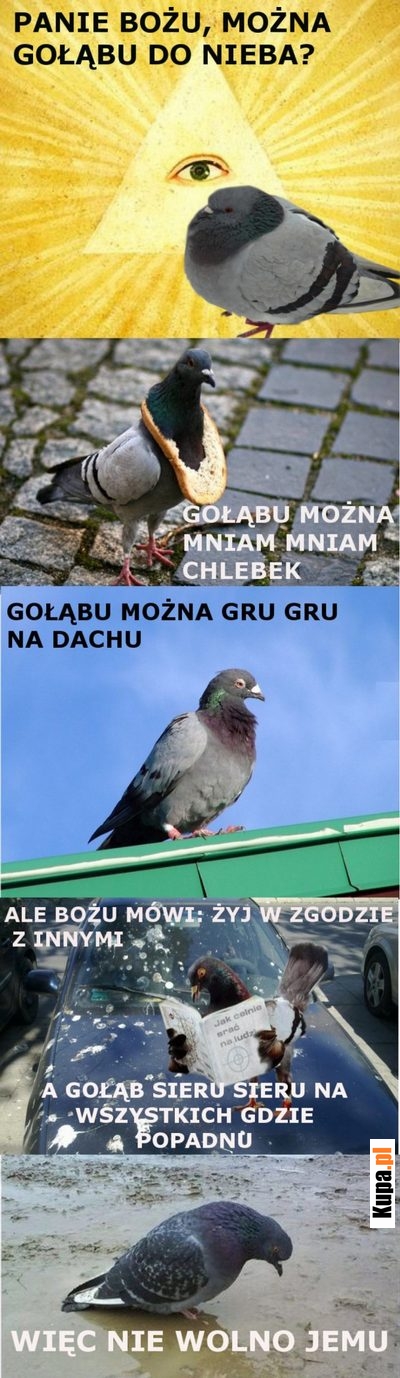 Panie Bożu, można gołąbu do nieba?