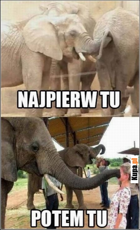 Najpierw tu, potem tu.