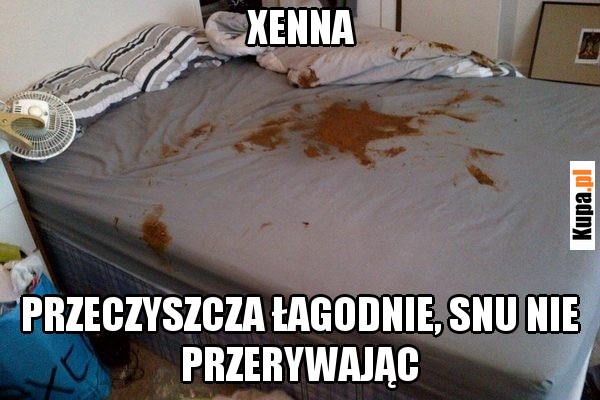 Xenna