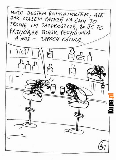 Może jestem romantykiem, ale jak czasem patrzę na Ćmy...