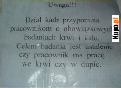 Badania krwi i kału