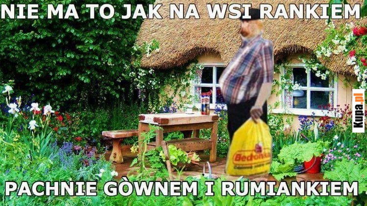 Nie ma to jak na wsi rankiem, pachnie gównem i rumiankiem