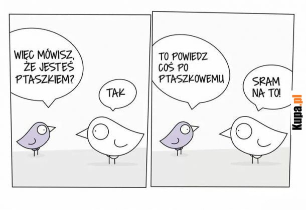 Powiedz coś po ptaszkowemu