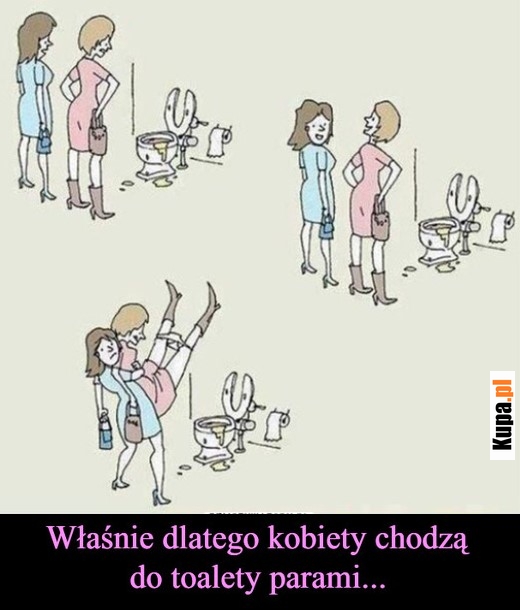 Właśnie dlatego kobiety chodzą do toalety parami Właśnie dlatego kobiety chodzą do toalety parami