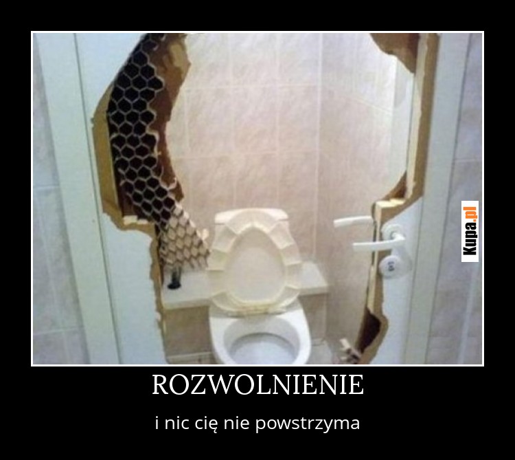 ROZWOLNIENIE - i nic cię nie powstrzyma