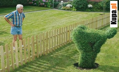 Miłość sąsiedzka - uzdolniony ogrodnik