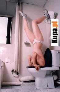 Zawodowy egzamin na hydraulika :)