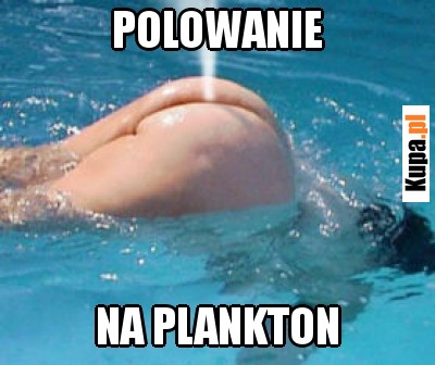 Polowanie Polowanie