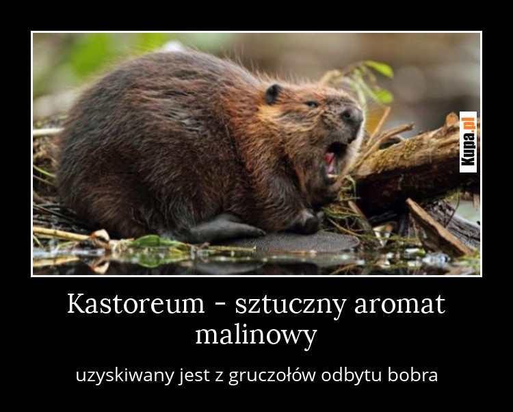Kastoreum - sztuczny aromat malinowy
