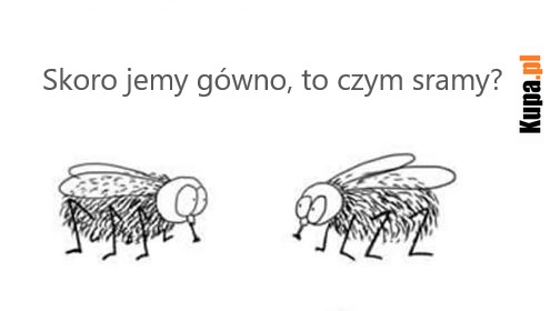 Skoro jemy gówno, to czym sramy? Skoro jemy gówno, to czym sramy?