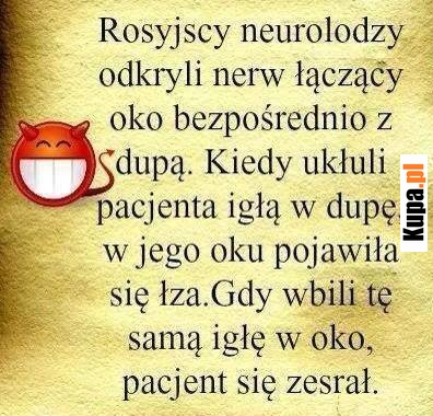 Rosyjscy neurolodzy odkryli nerw łączący oko z dupą