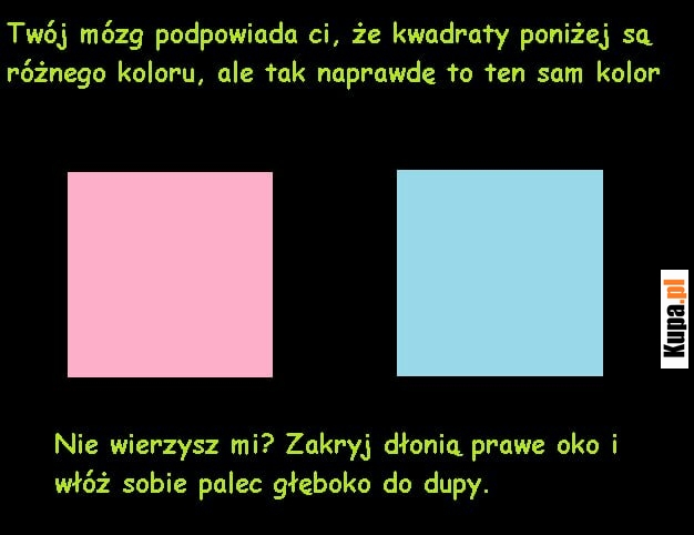 Twój mózg podpowiada ci, że kwadraty poniżej są różnego koloru.. Twój mózg podpowiada ci, że kwadraty poniżej są różnego koloru..