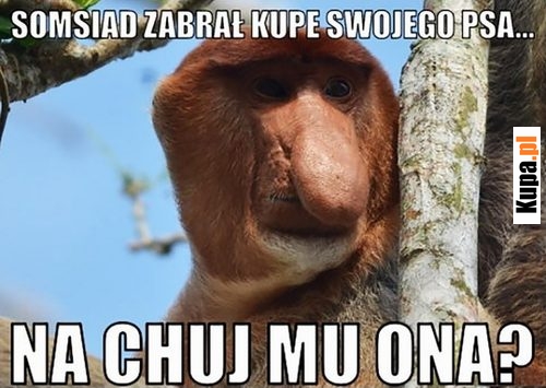Zabrał kupę swojego psa Zabrał kupę swojego psa