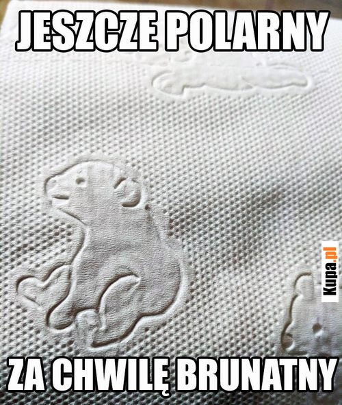 Jeszcze polarny, za chwilę brunatny...