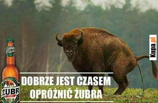 Dobrze jest czasem opróżnić żubra