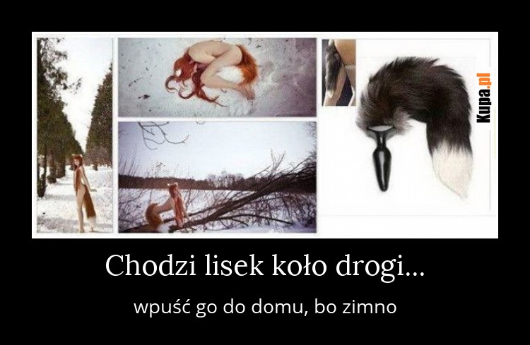 Chodzi lisek koło drogi...