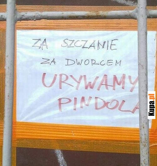 Za szczanie za dworcem urywamy pindola!