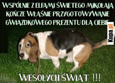 Wspólnie z Elfami Świętego Mikołaja...