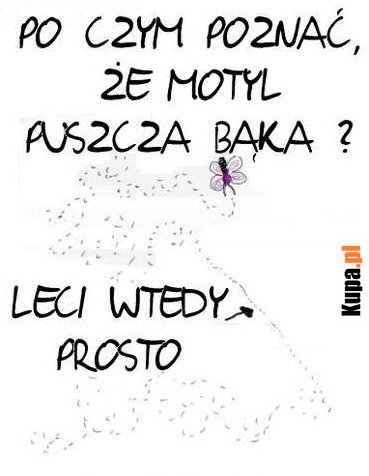 Po czym poznać, że motyl puszcza bąka?