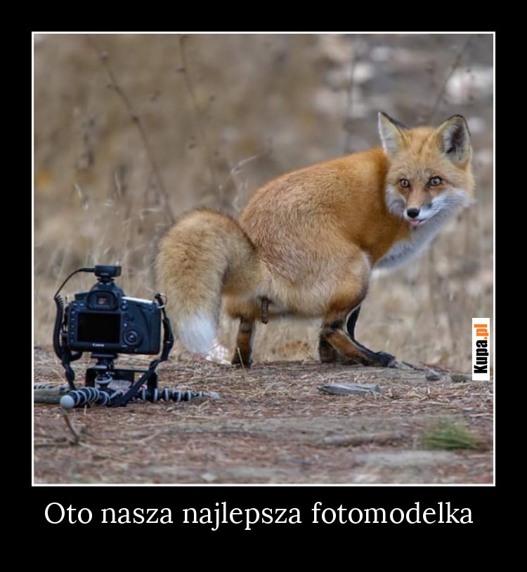 Oto nasza najlepsza fotomodelka Oto nasza najlepsza fotomodelka